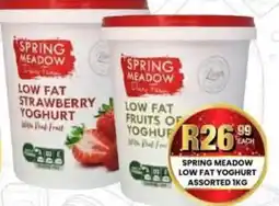 Take 'n Pay Spring Meadow Low Fat Yoghurt Assorted offer