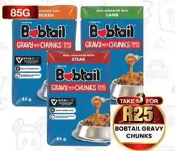Take 'n Pay Bobtail Gravy Chunks offer
