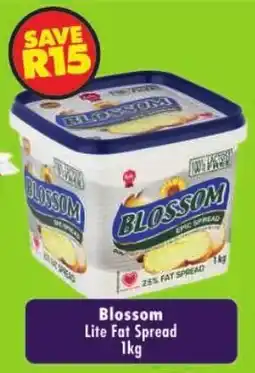 Shoprite Blossom Lite Fat Spread offer