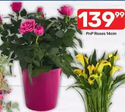 Pick n Pay Hypermarket PnP Roses offer