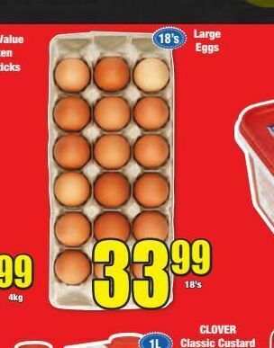 Boxer Eggs offer