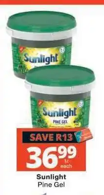 Checkers Sunlight Pine Gel offer