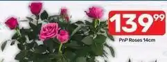 Pick n Pay Roses offer