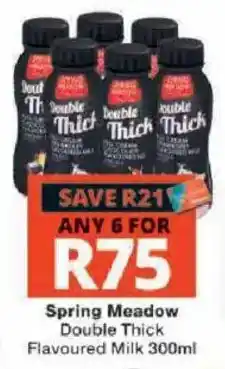 Checkers Spring Meadow Double Thick Flavoured Milk offer