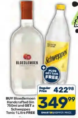 Pick n Pay Liquor Bloedlemoen Handcrafted Gin offer