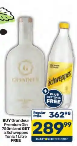 Pick n Pay Liquor Grandeur Premium Gin offer