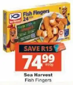 Checkers Sea Harvest Fish Fingers offer