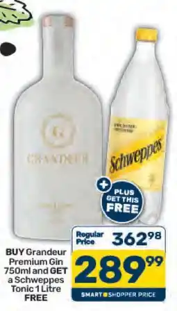 Pick n Pay Grandeur Premium Gin 750ml offer