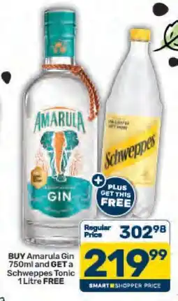 Pick n Pay Amarula Gin 750ml offer