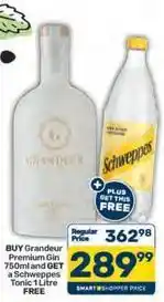 Pick n Pay Schweppes - grandeur premium gin and tonic offer