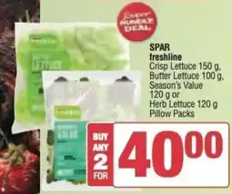 KwikSpar SPAR freshline Crisp Lettuce Butter Lettuce Season's Value Herb Lettuce offer