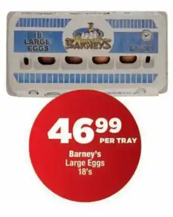 Barney's Large Eggs