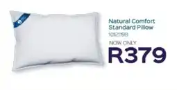 Sleepmasters Natural Comfort Standard Pillow offer