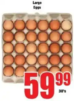 Boxer Large Eggs offer