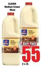 Boxer Clover - medium cream maas offer