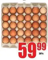Boxer Eggs offer