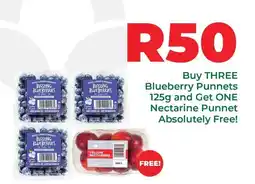 Food Lover's Market Lovers+ - blueberry punnet and nectarine punnet offer