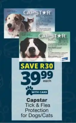 Checkers Capstar Tick & Flea Protection for Dogs/Cats offer