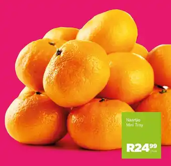 Save Hyper Naartjie Mini Tray offer