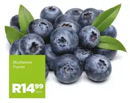 Save Hyper Blueberries Punnet offer