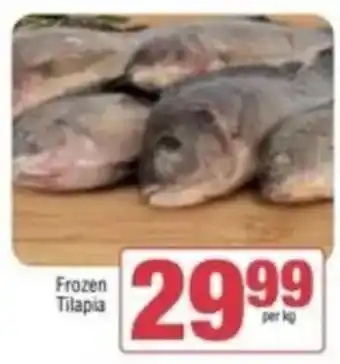 Frozen Tilapia