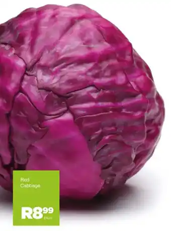 Red Cabbage