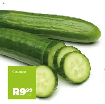Cucumber