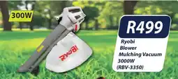 President Hyper Ryobi Blower Mulching Vacuum offer