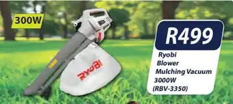 Ryobi Blower Mulching Vacuum