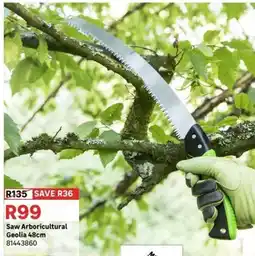 Leroy Merlin Saw Arboricultural Geolia 48cm offer