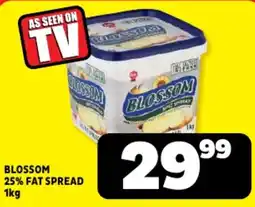 Usave BLOSSOM 25% FAT SPREAD offer