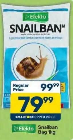 Pick n Pay Hypermarket Efekto Snailban offer