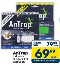 Pick n Pay Hypermarket AnTrap Indoor or Outdoor Ant Bait offer