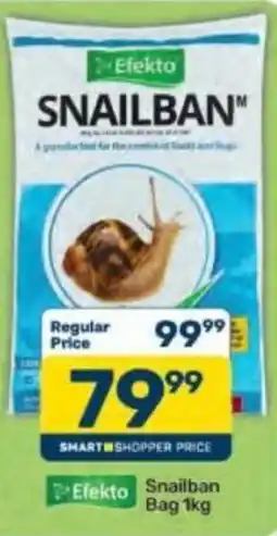 Pick n Pay Efekto Snailban offer