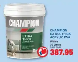 Cashbuild CHAMPION EXTRA THICK ACRYLIC PVA offer