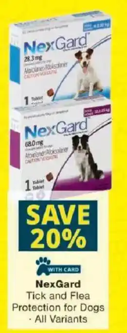 NexGard Tick and Flea Protection for Dogs