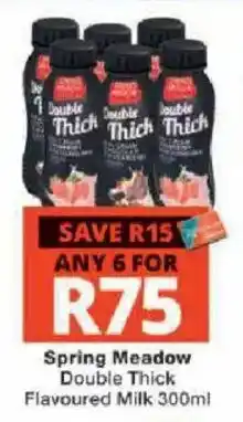 Checkers Spring Meadow Double Thick Flavoured Milk offer
