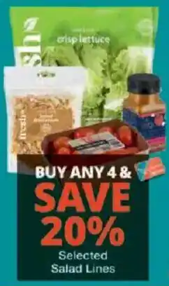 Checkers Selected Salad Lines offer