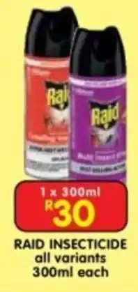 Shoprite RAID INSECTICIDE offer