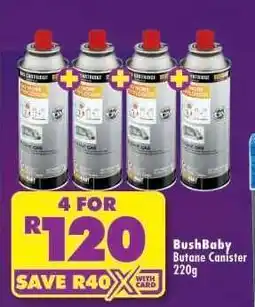 Shoprite BushBaby Butane Canister 220g offer