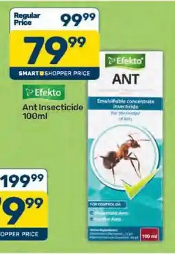 Pick n Pay Efekto Ant Insecticide 100ml offer