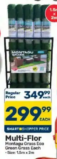 Pick n Pay Multi-Flor Montagu Grass Eco Green Grass offer