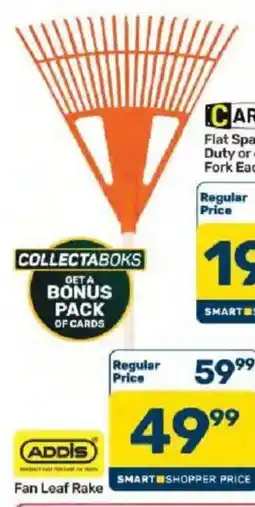 Pick n Pay Addis Fan Leaf Rake offer