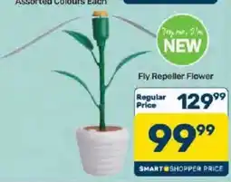 Pick n Pay Fly Repeller Flower offer