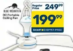 Pick n Pay BLUE MOUNTAIN DC Portable Ceiling Fan offer