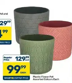Pick n Pay Plastic Flower Pot Assorted offer