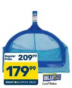 Pick n Pay BLU52 Leaf Rake offer