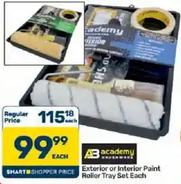 Pick n Pay AB academy brushware Exterior or Interior Paint Roller Tray Set offer