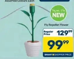 Pick n Pay Hypermarket Fly Repeller Flower offer