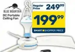 Pick n Pay Hypermarket BLUE MOUNTAIN DC Portable Ceiling Fan offer